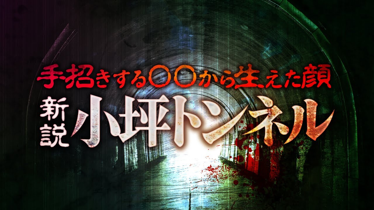 ※最恐心霊スポット※小坪トンネルに新たな怪異の証言！手招きする異形のナニカ…【ナナフシギ】【怖い話】