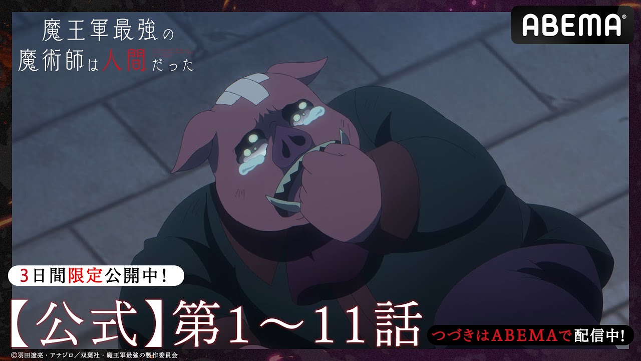 【3日間限定】 TVアニメ「魔王軍最強の魔術師は人間だった」【公式_1~11話】