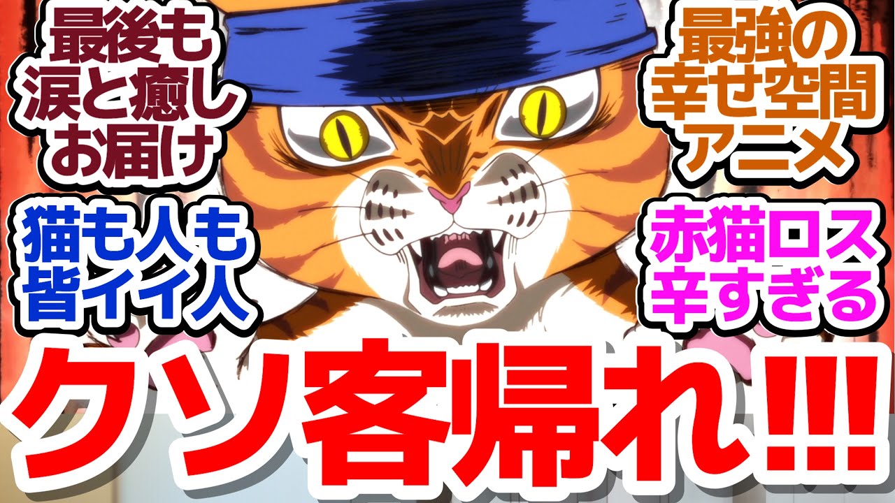 【ラーメン赤猫 最終回】珠子さん、○○おめでとう！最後まで素晴らしい猫と人に囲まれる今期最強癒しアニメ、最後の一杯『ラーメン赤猫』第12話反応集＆個人的感想【反応/感想/アニメ/X/考察】