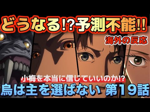 アニメ「烏は主を選ばない」第19話【海外の反応 】どうなる？予測不能‼小梅を本当に信じていいのか？金烏と老猿について様々な推測をする海外の皆さん