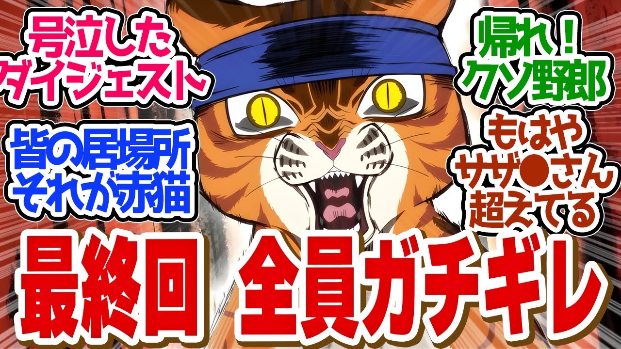 【 赤猫 12話 最終回 】感動！赤猫がみんなの居場所！最後まで心温まる物語！第１２話の読者の反応集【 アニメ 赤猫ラーメン 】