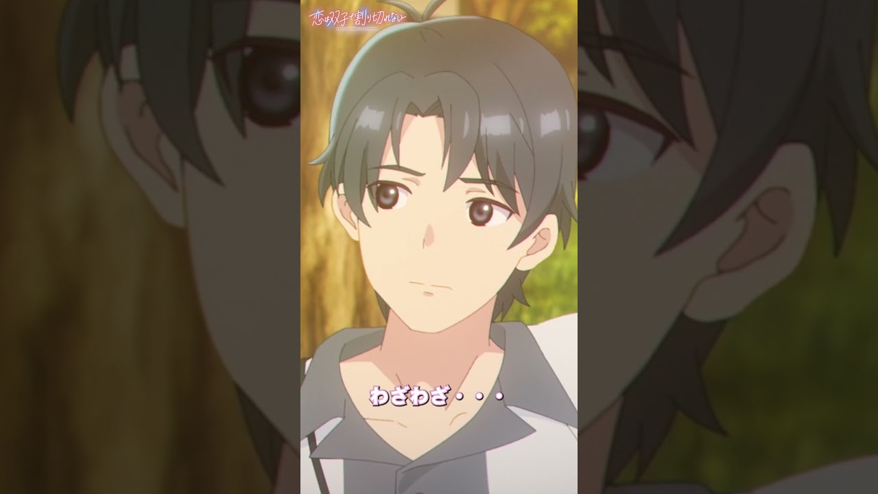 「俺だって納得できねえよ」【恋は双子で割り切れない】