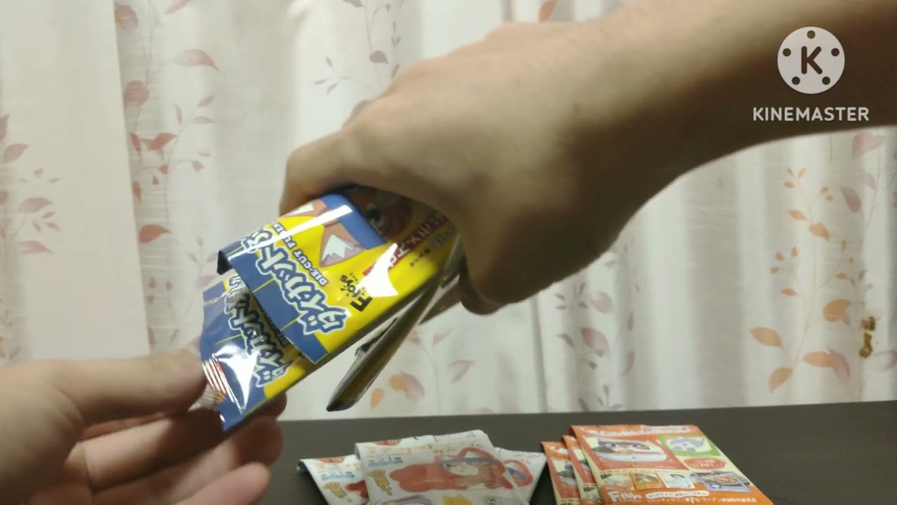 ラーメン赤猫　ダイソー　紹介