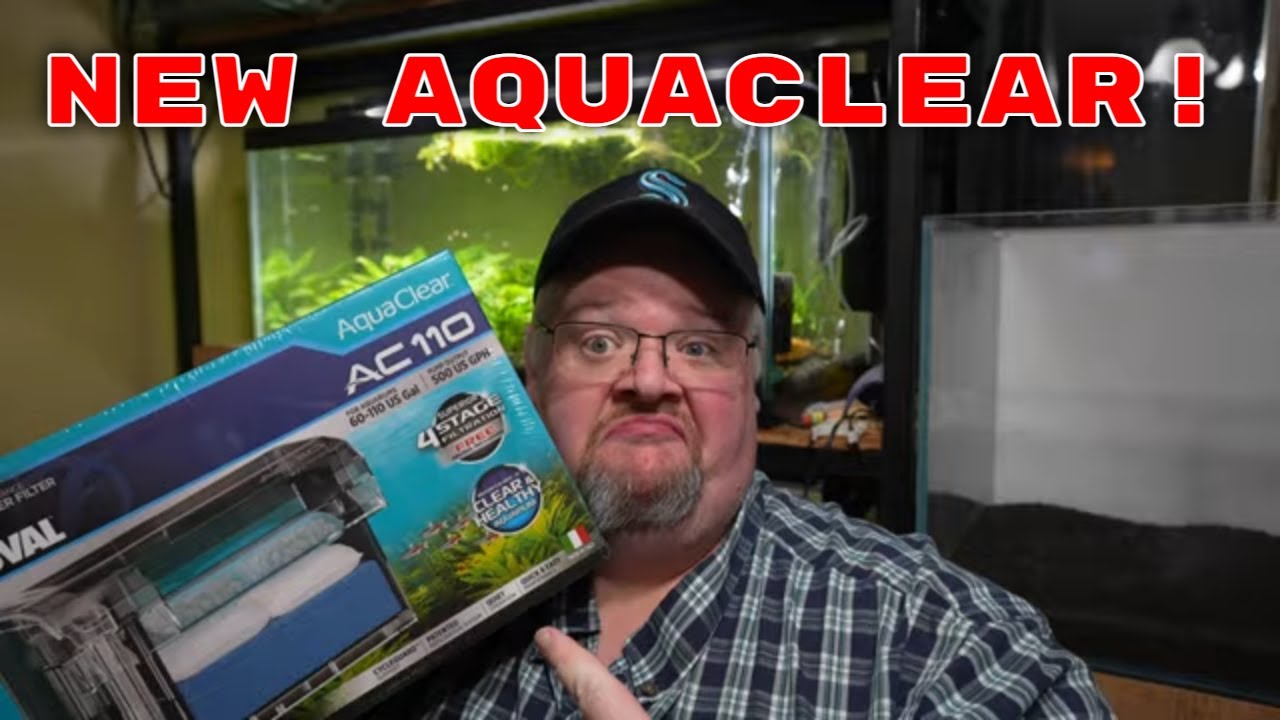 The New Aquaclear Filter - What's New and How Are We Testing It?