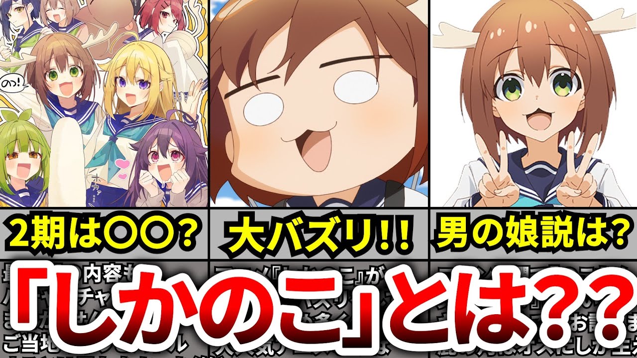【しかのこ最終回】2024夏アニメで大バズりNo1！？2期は〇〇？？のこたんの真相は？？アニメ『しかのこのこのここしたんたん』についてまとめ動画【のこたん】【こしたん】【シカ色デイズ】