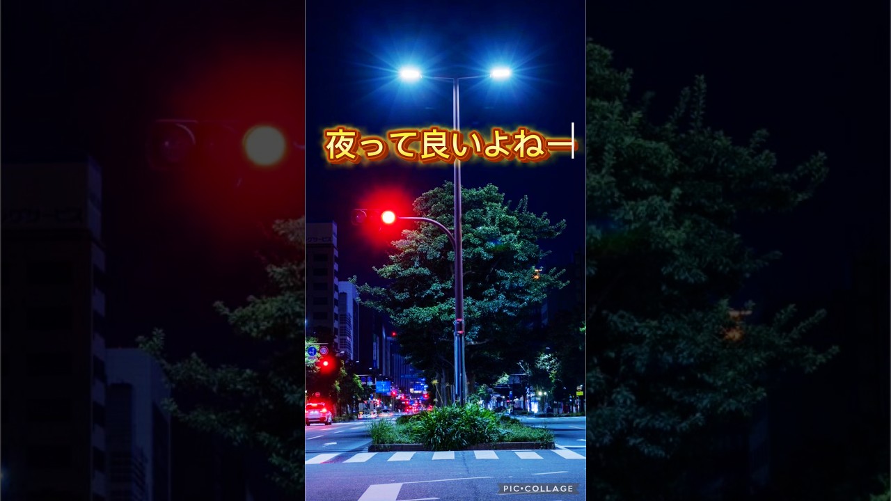 おかえりー、ただいまー、普通が幸せ😃#shorts、#shortmusic 、 #music