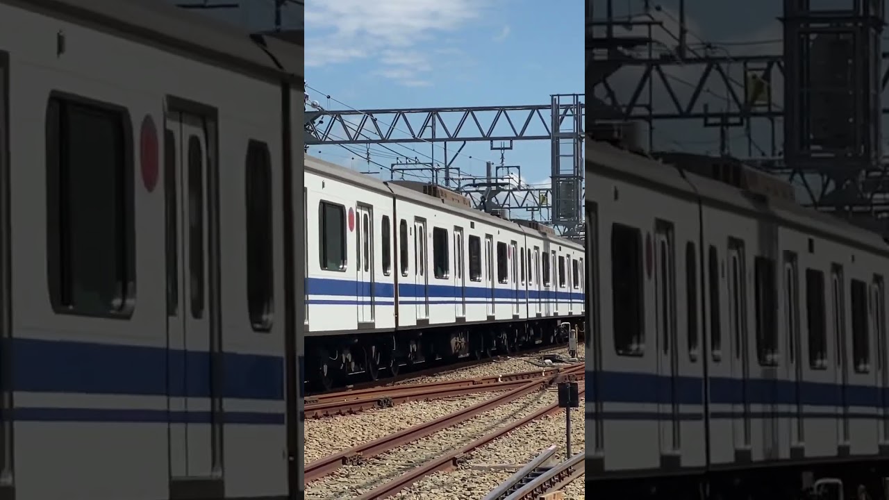 ｼﾝｶﾝｾﾝﾊﾔｲ。 #anime #music #新幹線 #ラッピング #通過 #鉄道 #train #電車 #東急東横線 #西武 #shorts