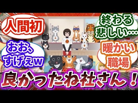 【ラーメン赤猫 12話/最終回】アニメ「ラーメン赤猫」最終話対する視聴者の反応/感想｜【反応集】【アニメ】【2024夏アニメ】[アニメ感想]