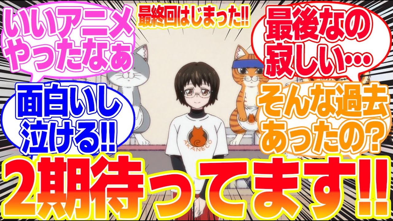 【ラーメン赤猫最終回】第12話最近の悩みは…『私猫好きになってるかも!』に対するリアタイ民の反応まとめてみた