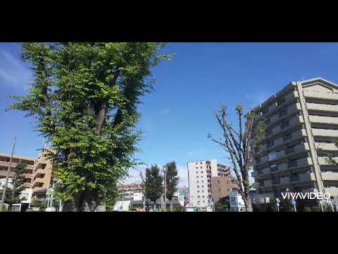 自作ソング 『SAITAMA north LOVE』#japantravel #さいたま市