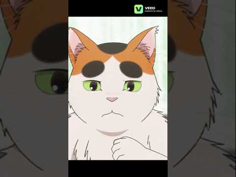 #котик Бутио поссорился с Юри #аниме #озвучка #tonarinoyoukaisan #anime #мойсоседёкай