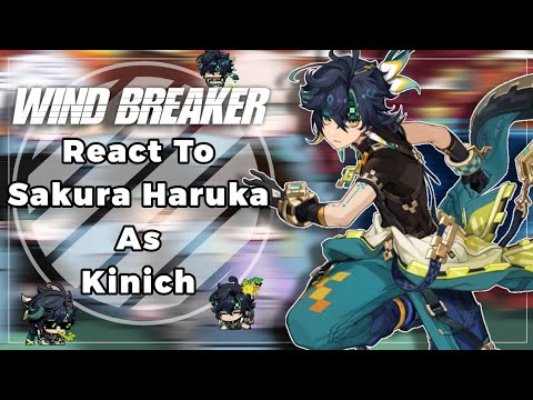 Wind Breaker React To Sakura Haruka As Kinich || 1/? || WB x GI || by: Yuuhi
