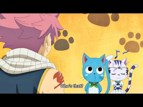 Fairy Tail 100 Years Quest - Happy forgets about Charle after getting Touka?!