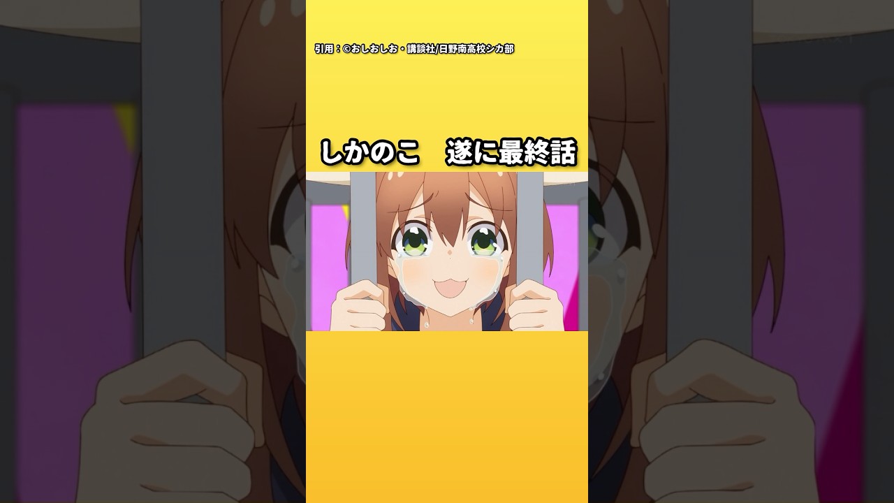 【しかのこのこのここしたんたん】ミーム化してSNSを賑わせた作品が最終話を迎えたけど皆の評価はぶっちゃけどう？【2024年夏アニメ】 #しかのこのこのここしたんたん #2024年夏アニメ #しかのこ