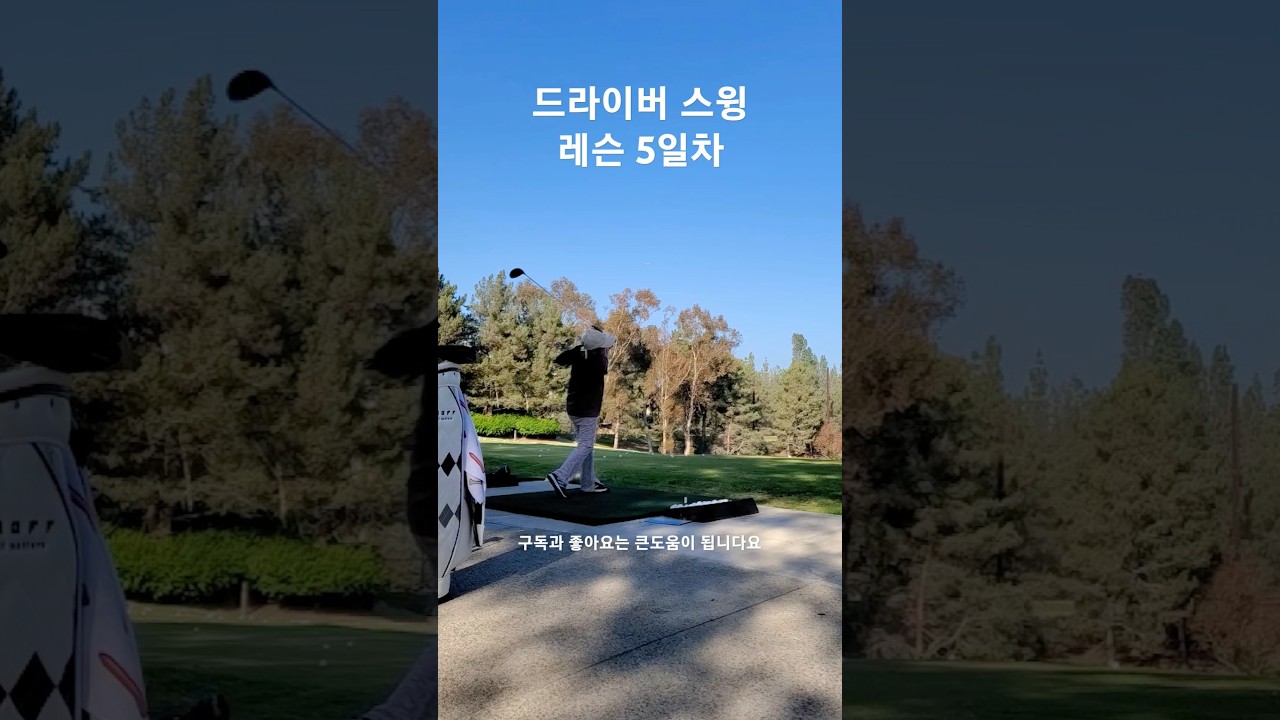 골프 레슨 5일차 드라이버 스윙 자세 교정중 81일차 DAY81 9월27일
