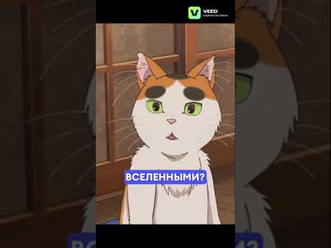 #котик Бутио узнает про параллельные миры #fandub #аниме #anime #озвучка #tonarinoyoukaisan