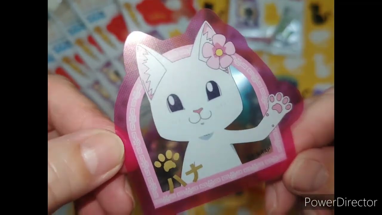 【100均】ラーメン赤猫　（祝）コンプリート