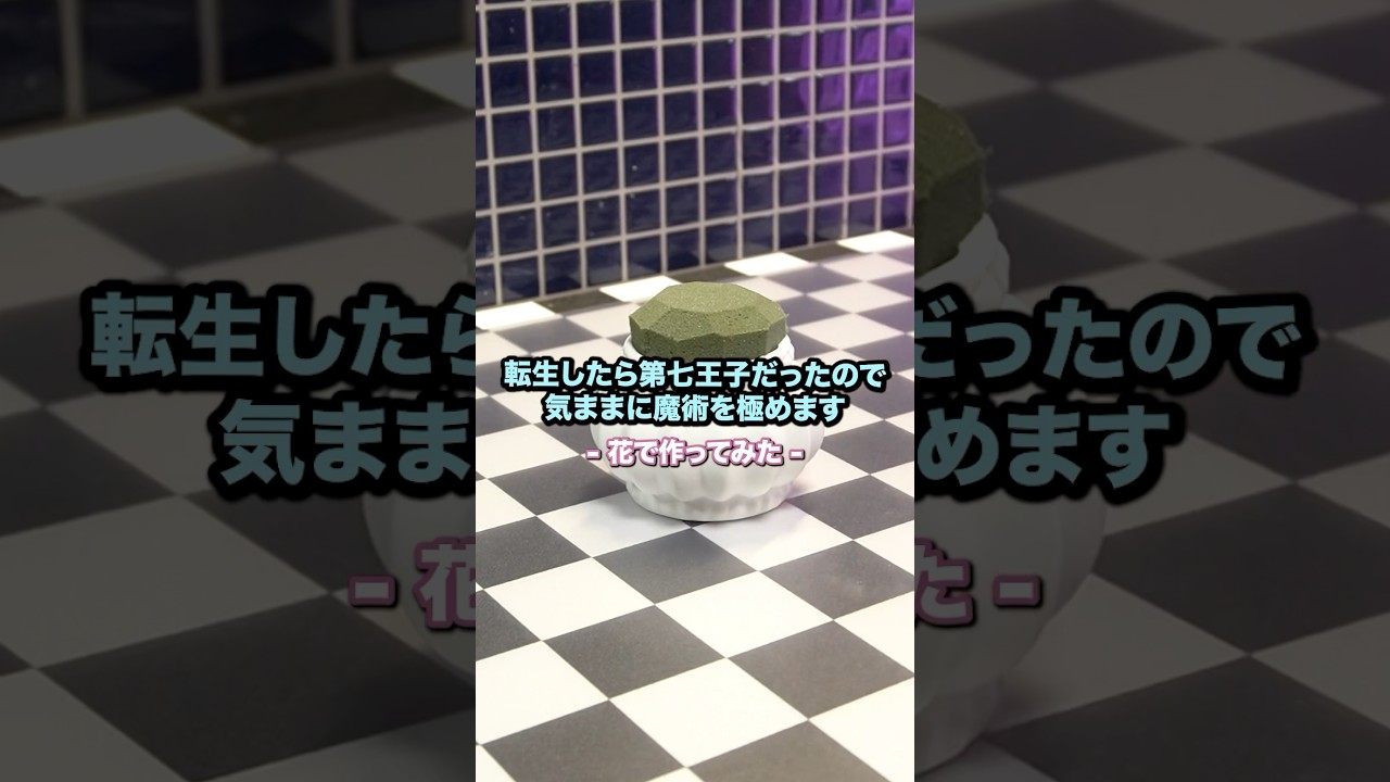 今回のテーマ「転生したら第七王子だったので気ままに魔術を極めます」#転生したら第七王子だったので気ままに魔術を極めます #第七王子 #アニメ #アニヲタ