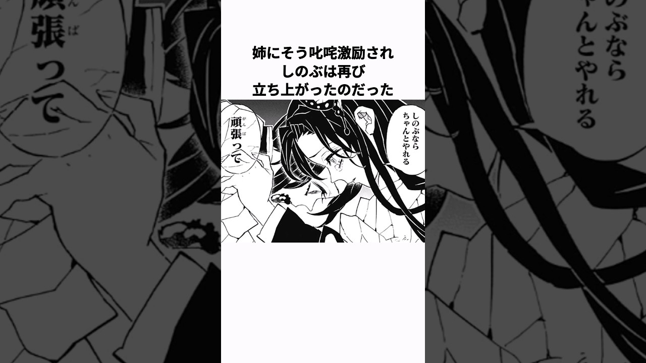 【鬼滅の刃】しのぶとカナエの悲しい過去