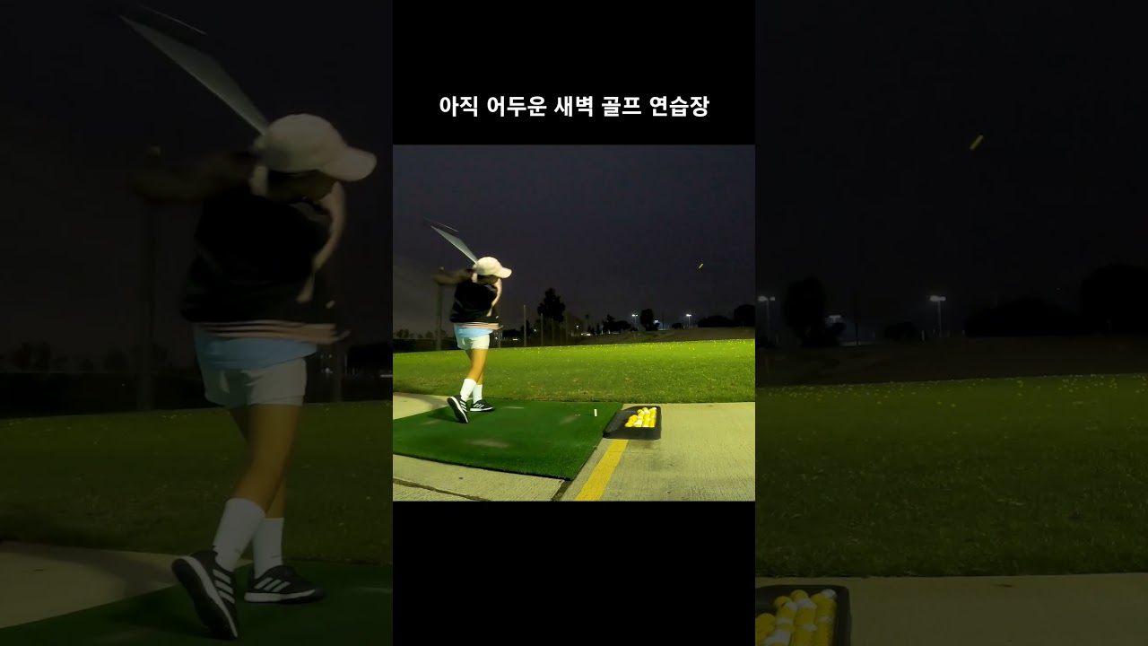 드라이버 골프 스윙 아직 어두운 새벽 골프 연습장 93일차 DAY93 10월14일
