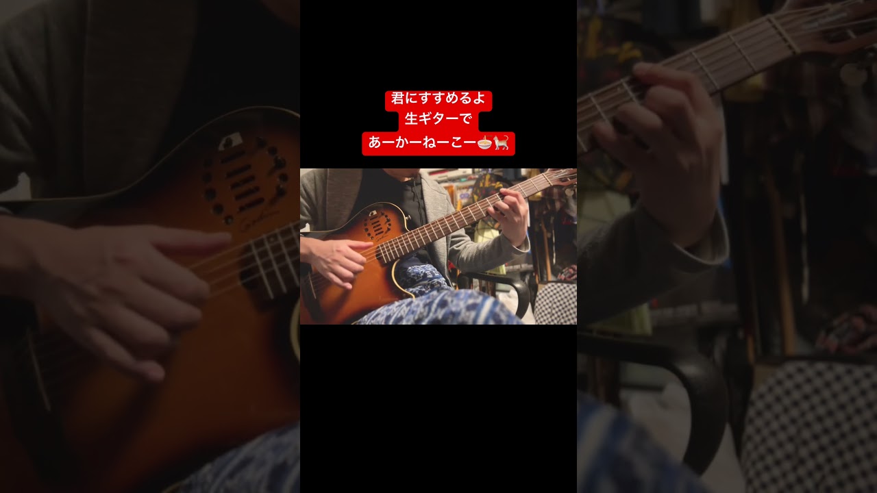 生麺、でなく、生ギターでラーメン赤猫の主題歌を🐈　#godinguitars