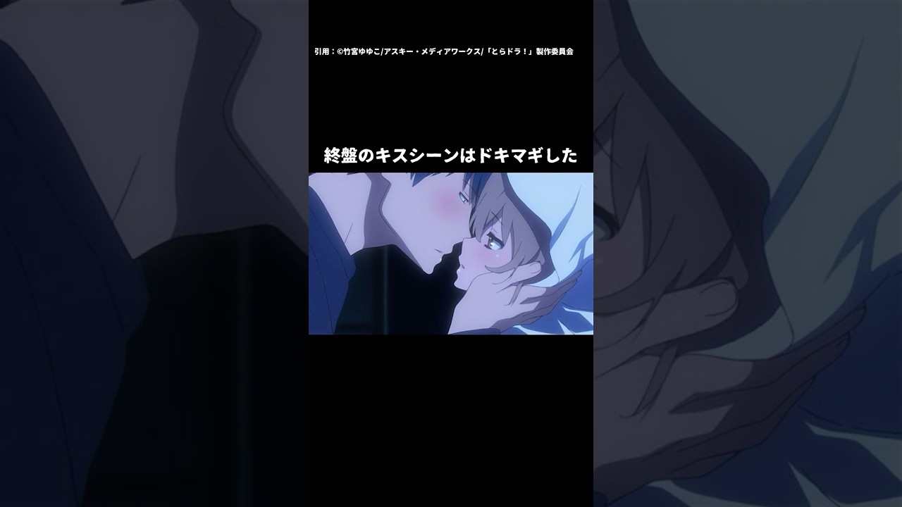 【１分アニメ紹介】『とらドラ！』ヒロインが狂犬の学園青春ラブコメ最高傑作【2008年アニメ】 #とらドラ #2008年アニメ #作品紹介