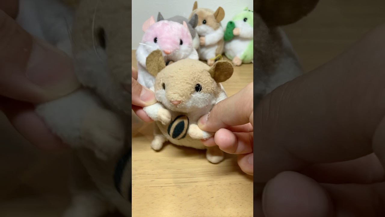 【踊ってみた】しかのこのこのここしたんたん公式OP 【シカ色デイズ】 #shorts  #しかのこのこのここしたんたん #シカ色デイズ #ハムスター