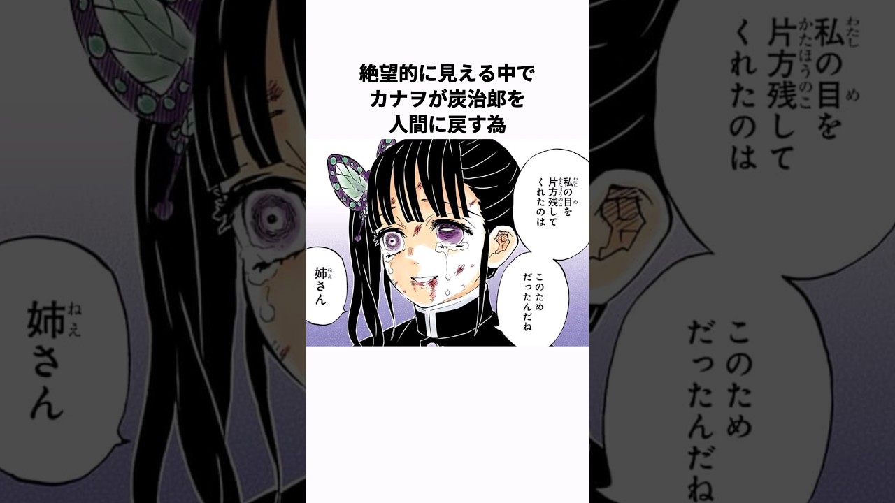 【鬼滅の刃】鬼化炭治郎が人間になるまで