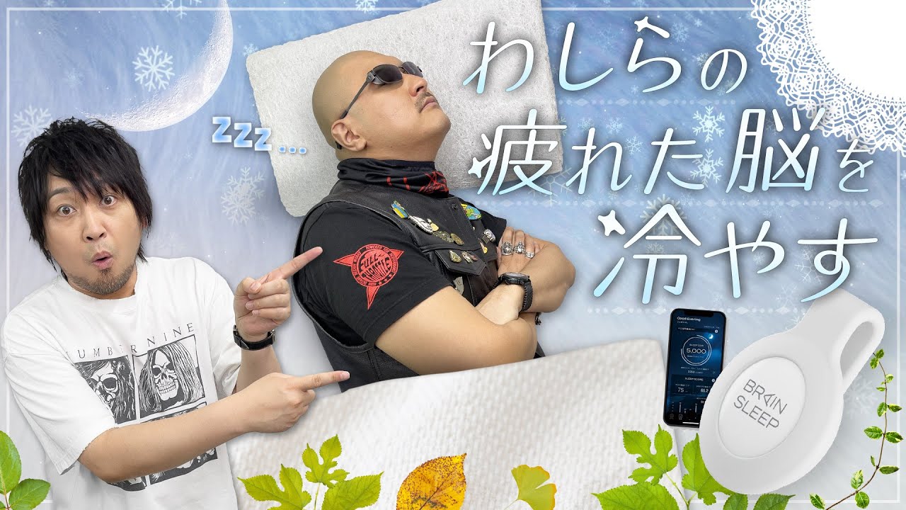 【ブレインスリープ ピロー】わしらの火照った脳を冷やす…究極の枕に" 黄金の90分"へ誘われるわしら【PR】