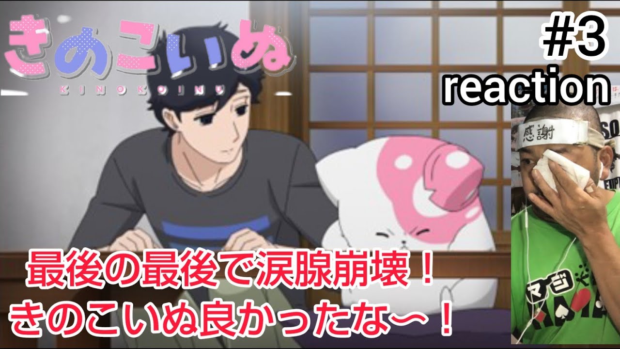 きのこいぬ 3話 リアクション 【最後の最後に涙腺崩壊！いいね〜きのこいぬ！】 KINOKOINU ep3 reaction 同時視聴 反応 #きのこいぬ