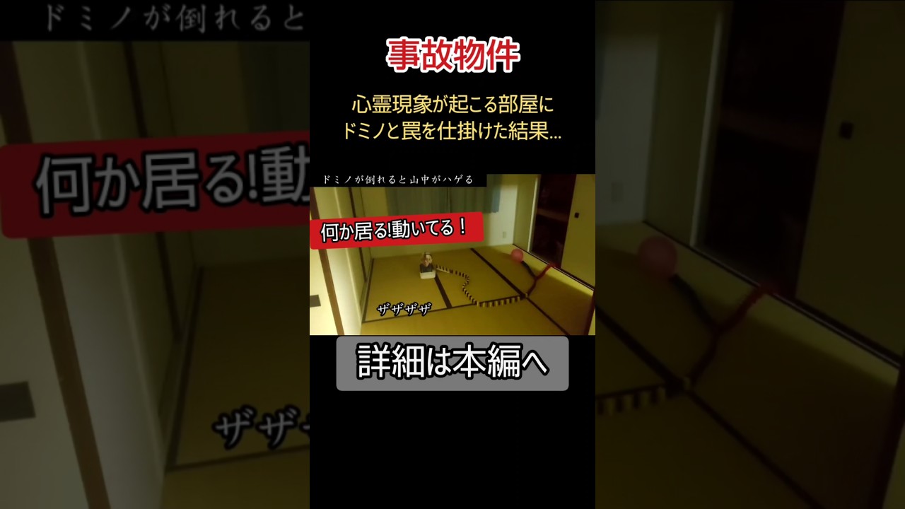 怪奇現象のある家にドミノを並べてみた⚠️ピタゴラスイッチ【心霊スポット･ユーチューバー】事故物件、幽霊アンビリーバボー、水曜日のダウンタウン、霊媒師、妖怪、心霊、恐怖、怖い、映像、動画 #Shorts