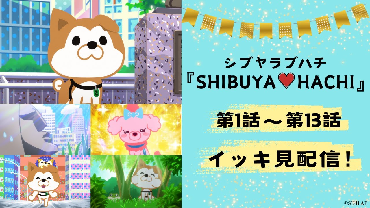 アニメ『SHIBUYA♡HACHI』第1～13話イッキ見配信【公式】