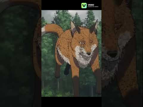 Возрождение Дзиро из перышка #аниме #anime #озвучка #tonarinoyoukaisan #анимемомент #fandub #топ