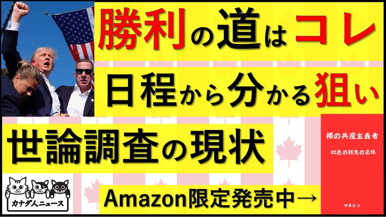 11.2 勝利の道はコレ/世論調査の現状は?