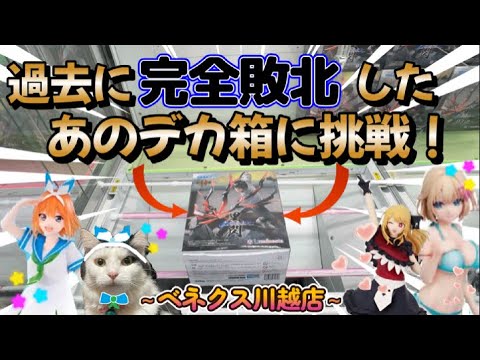 【勉強113日目】過去に完全敗北したあのデカ箱に挑戦！たぬ勝利となるか！？今回のおまけは〇〇あらわれた！です！～ベネクス川越店～