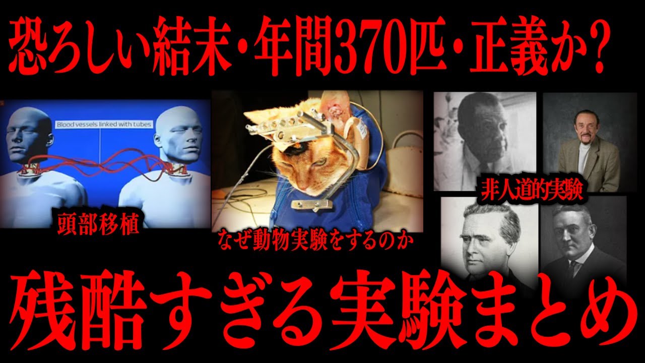 【切り抜き】残酷すぎる実験まとめ【たっくーTV/作業用】