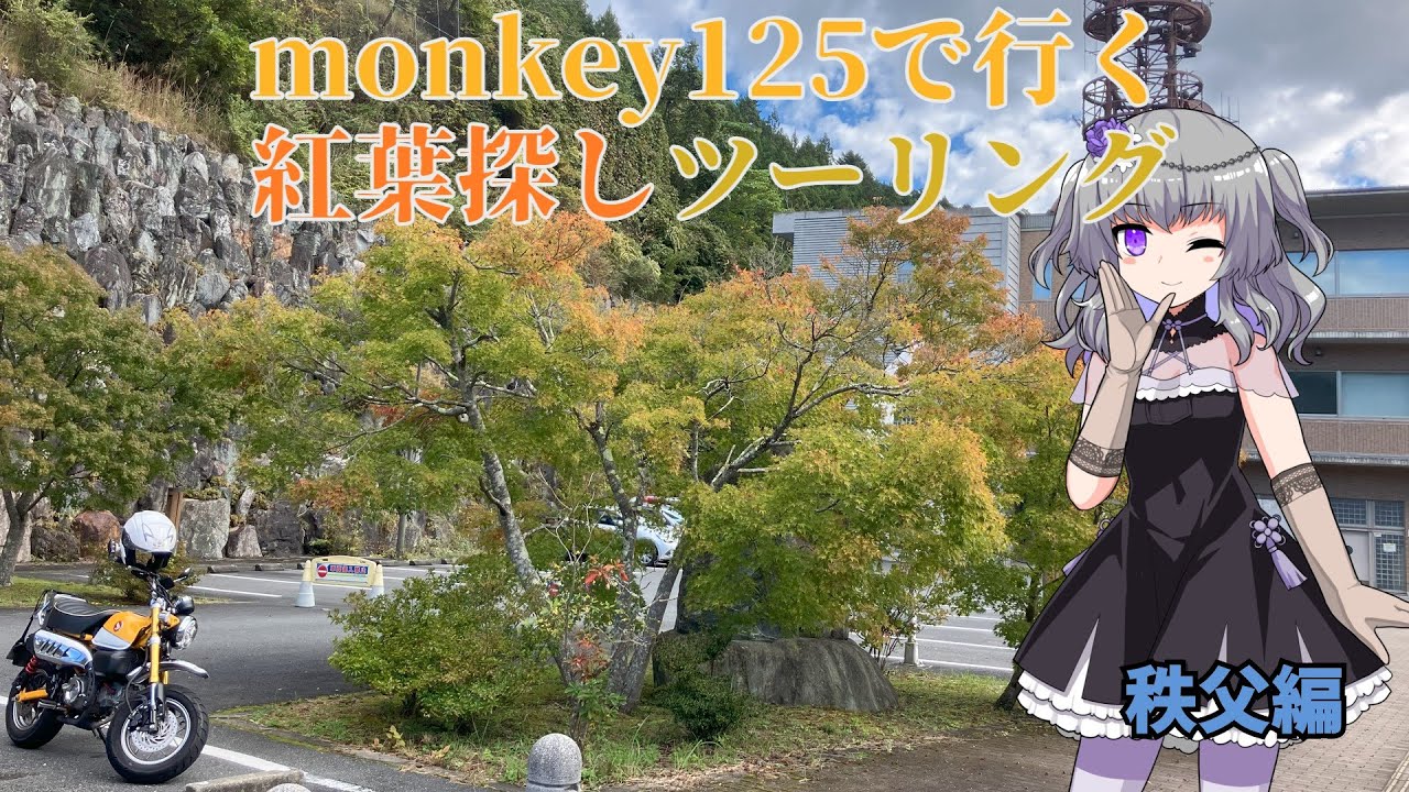 【モトブログ】#18　紅葉探し241020 秩父編【monkey125】#monkey125  #ツーリング #埼玉県 #秩父 #滝沢ダム #voicevox #紅葉