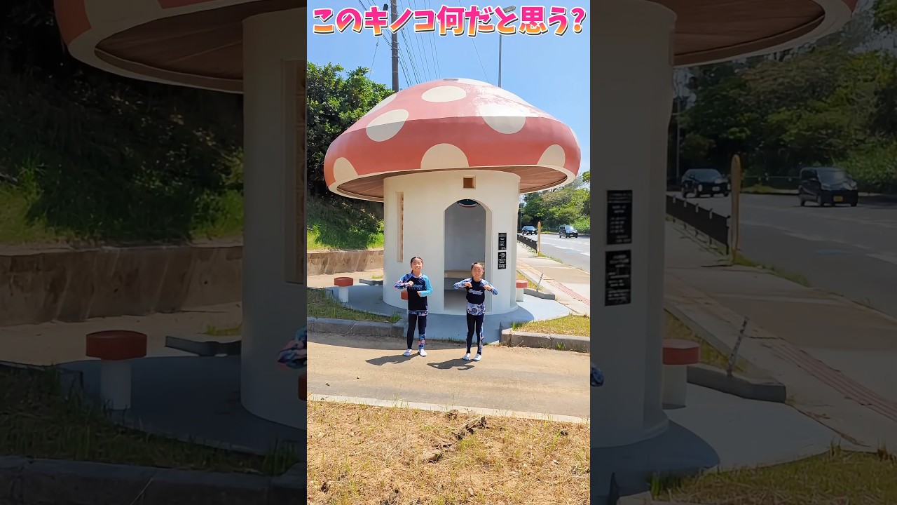 このキノコ何だと思う⁉️ #しかのこのこのここしたんたん #即興ダンス