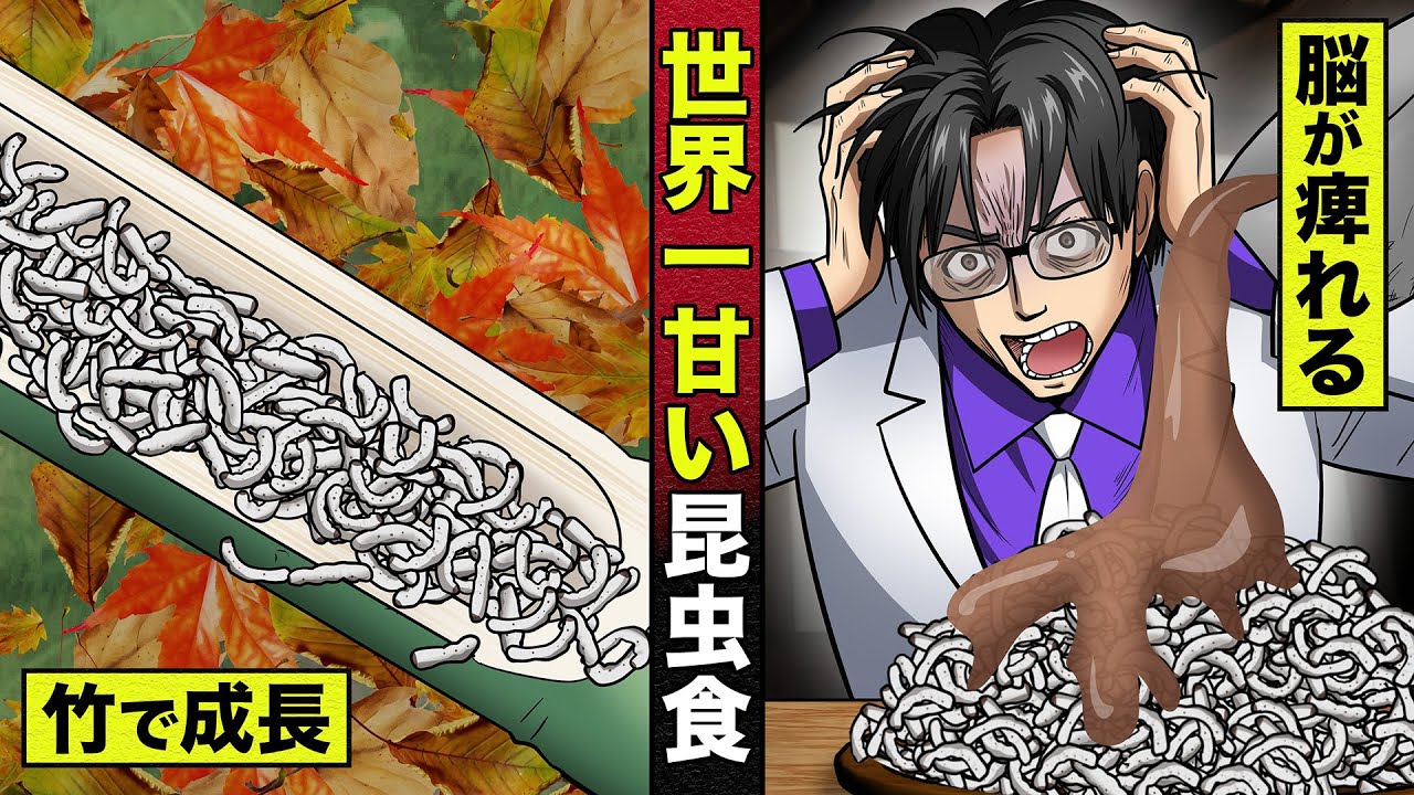 【奇食】世界一甘い昆虫。竹の中でしか増殖しない幼虫に鬼頭の脳が痺れた！
