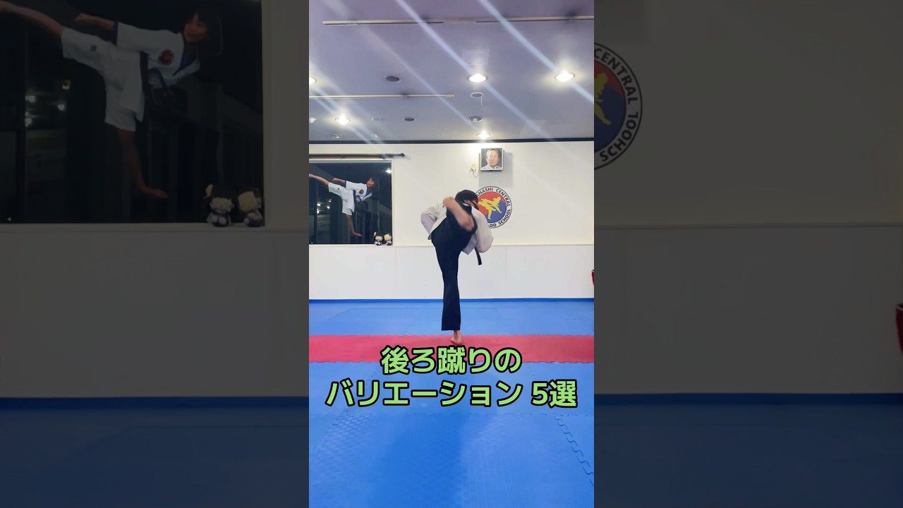 テコンドーの後ろ蹴り5選！ #テコンドー #後ろ蹴り #喧嘩独学 #taekwondo