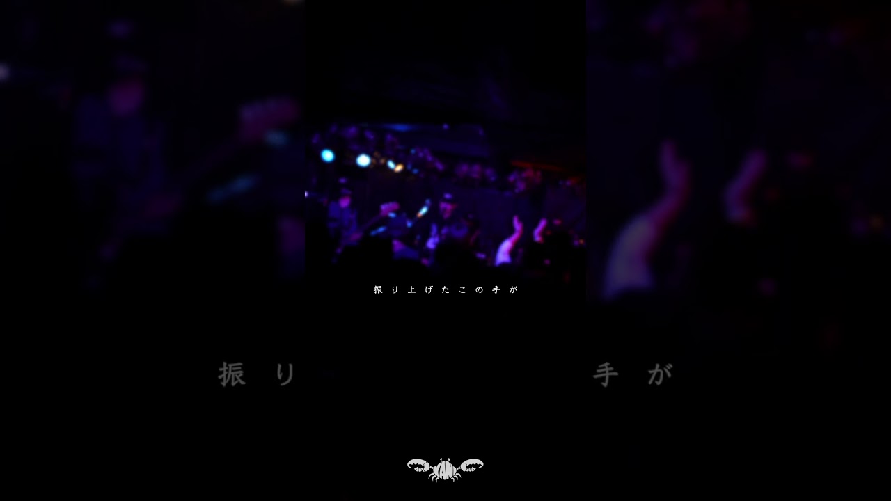 バイラルハック。 #邦ロック #おすすめ #ライブ #歌詞 #喧嘩独学