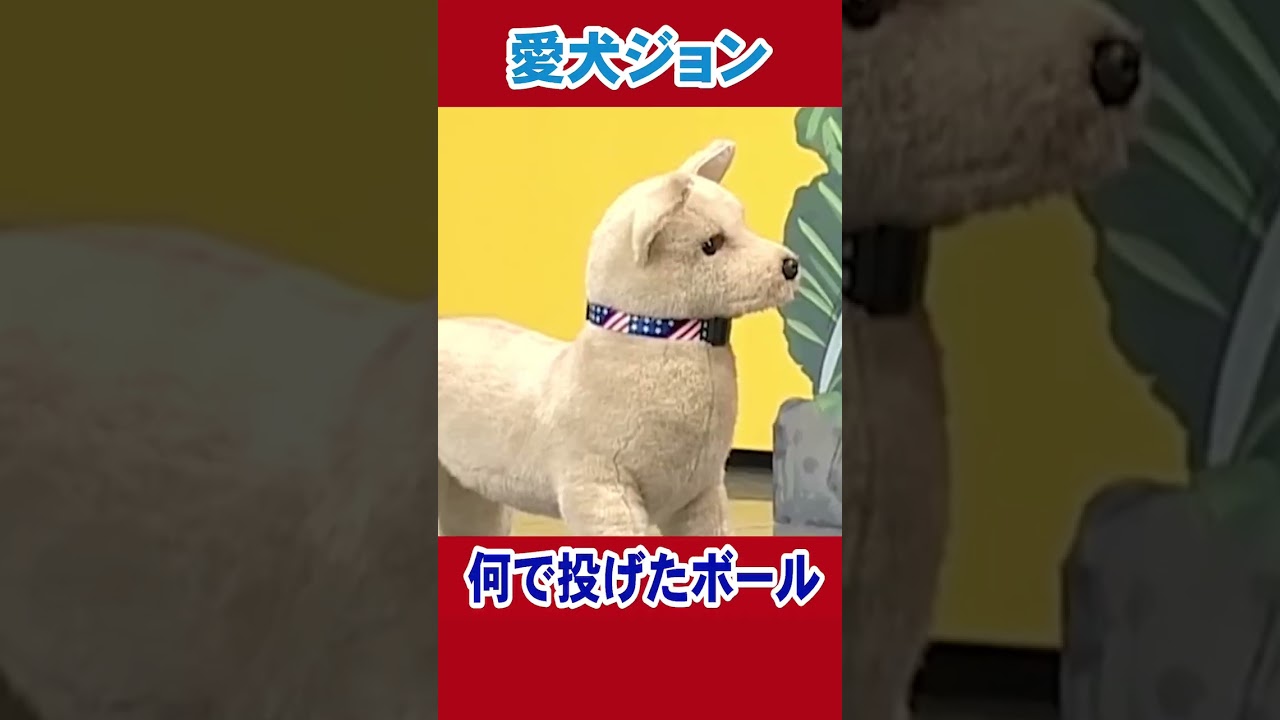 喋りすぎる愛犬ジョン!!#陣内智則 #ネタジン #コント #shorts