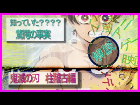 鬼滅の刃　柱稽古編　解説/これを見れば100倍稽古の理由がわかる