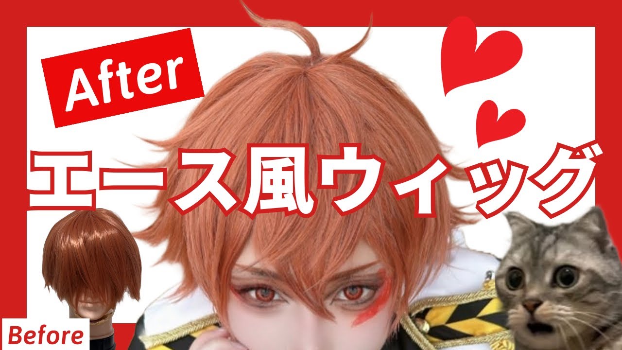 【コスプレウィッグ】 エース・トラッポラ　ウィッグの作り方を猫ミームで解説します Dハロツイステッドワンダーランド 【Cosplay make Tips】Twisted Wonderland　TWST
