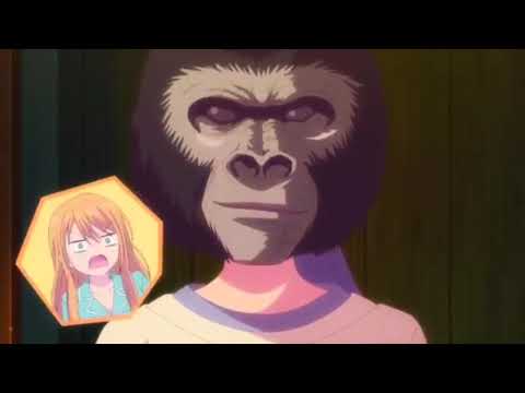 Gorila Mask ? |Megami no Cafe Terrace S2, 女神のカフェテラス