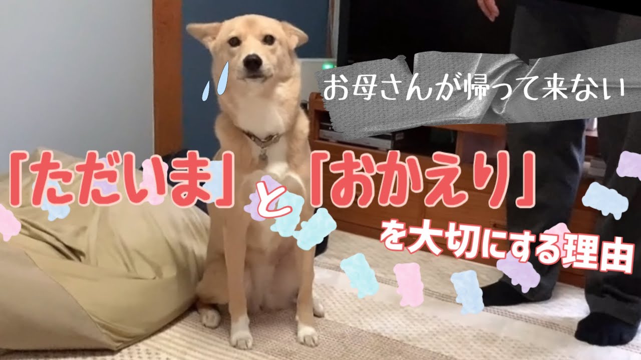 『ただいま』と『おかえり』を大切にする理由