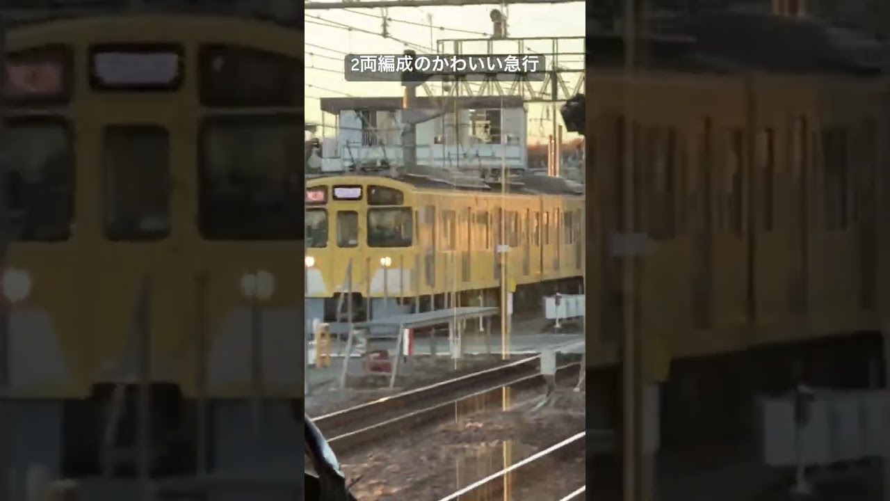 LEDの終末トレイン #anime #music #西武 #2000系 #かわいい #鉄道 #電車 #train #入れ替え #新所沢 #shorts