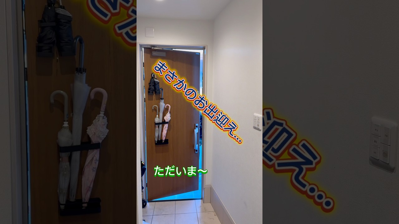 まさかのお出迎え… #ただいま　#おかえり　#nosa_camp #こびとづかん