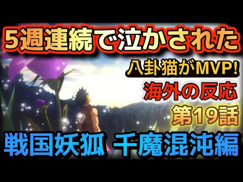 アニメ「戦国妖狐 千魔混沌編」第19話【海外の反応 】5週連続で泣かされた‼八卦猫がMVP‼