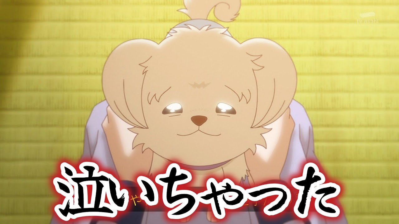 【わんだふるぷりきゅあ！】44話！これ見て泣かなかった人いる？？？？！【わんぷり】【2024年秋アニメ】